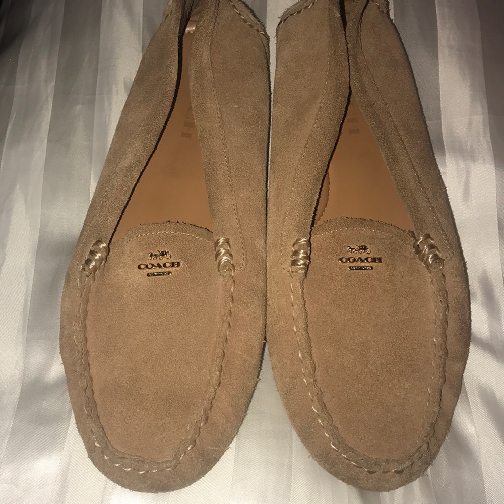 Coach shoes